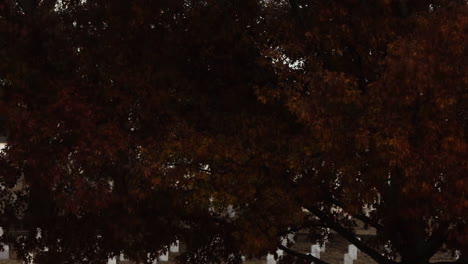 Descending-drone-shot-of-Fayetteville-National-Cemetery-with-tombs-of-fallen-military-soldiers,-america