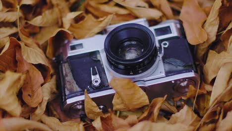 photo camera falling on the autumn leaves