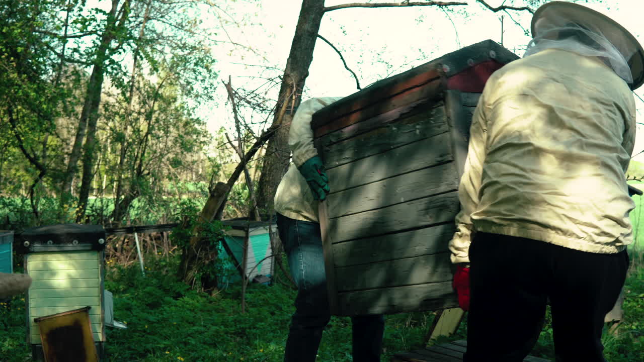 Two Beekeepers Lifting Bee Hive Box In Garden. Locked Off
