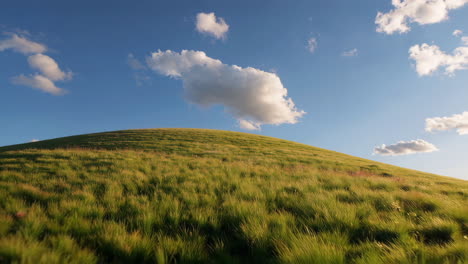 grassy hill under a cloudy blue sky