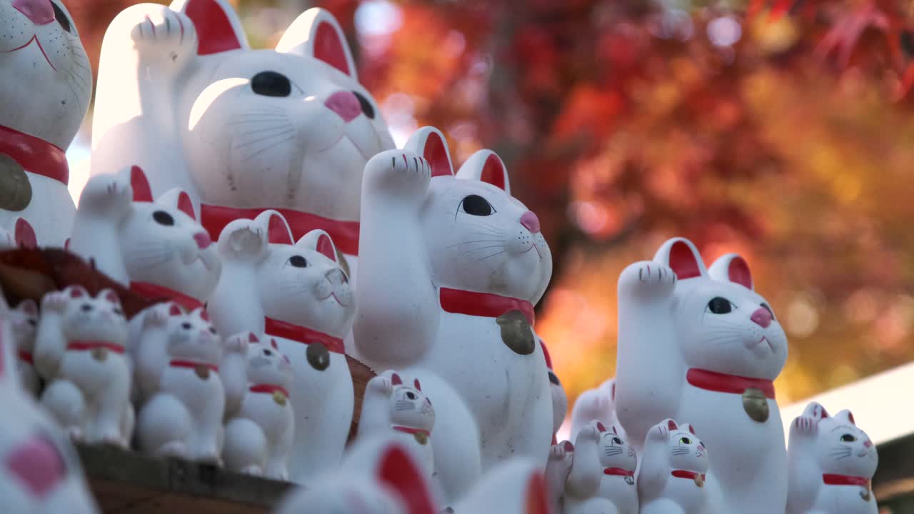 el manekineko rodeó hermosos colores otoñales en el templo gotokuji en tokio