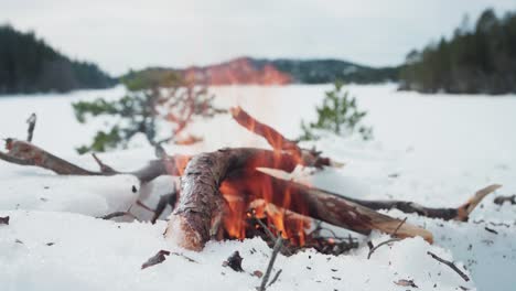 Hoguera-Ardiendo-En-La-Nieve-Bosque-De-Invierno