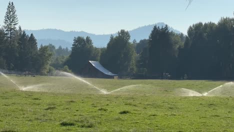 agricultural irrigation system - sprinklers watering farmland in oregon