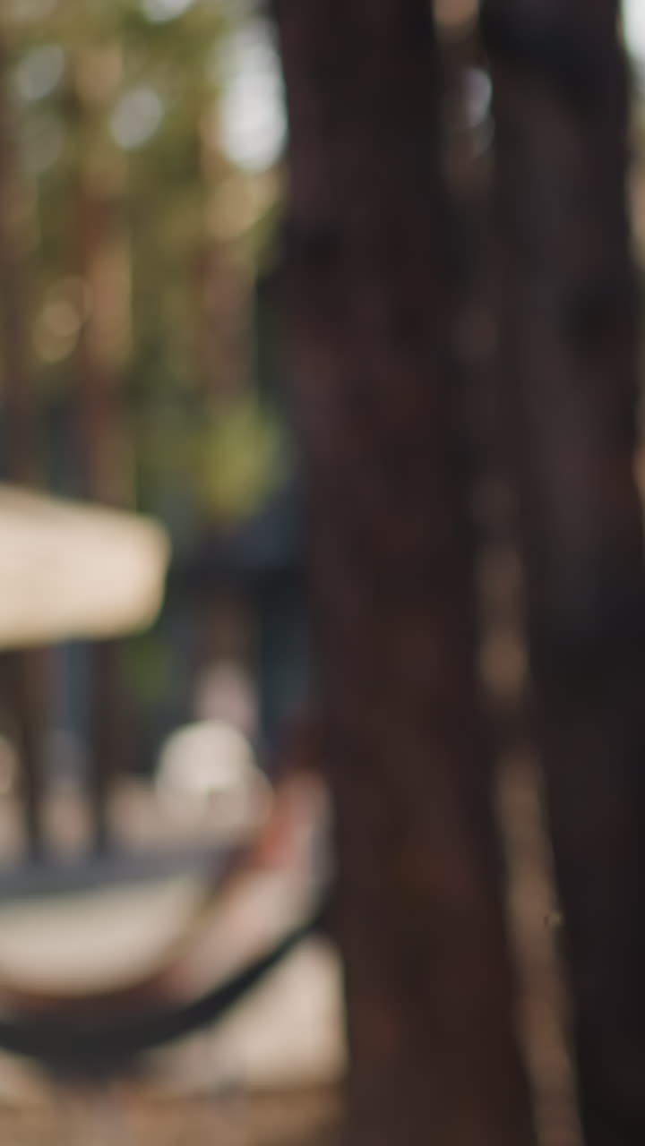 숲 속에 걱거리는 작은 무새와 함께 숲의 흐릿한 전망. 울창한 나무로 둘러싸인 지붕 테라스를 가진 집. 편리한 카메라. 자연에서 휴식