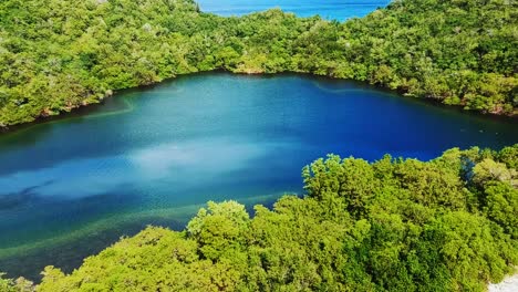 vista aérea épica de un estanque de sal en la isla caribeña de trinidad y tobago