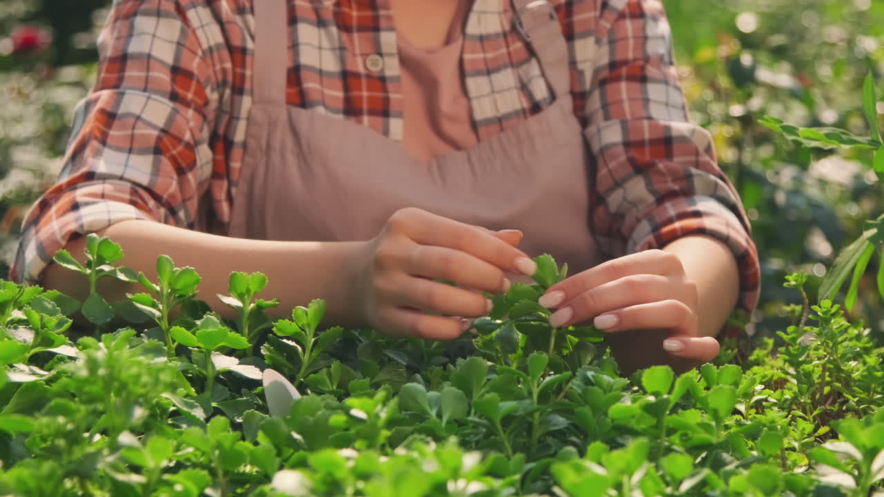 Gardening and plant care