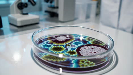 petri dish with microbial cultures in a laboratory setting