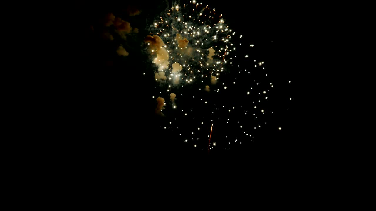 아름다운 다채로운 불꽃놀이. 축하