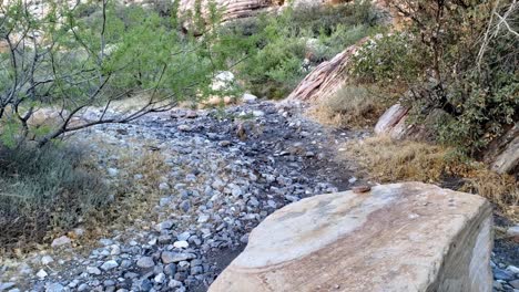 Canyon-walls-in-a-vertical-panorama