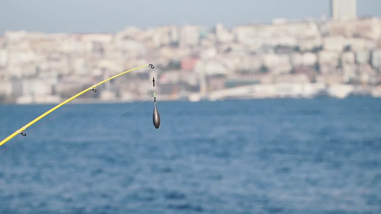 Fishing from a pier with city view