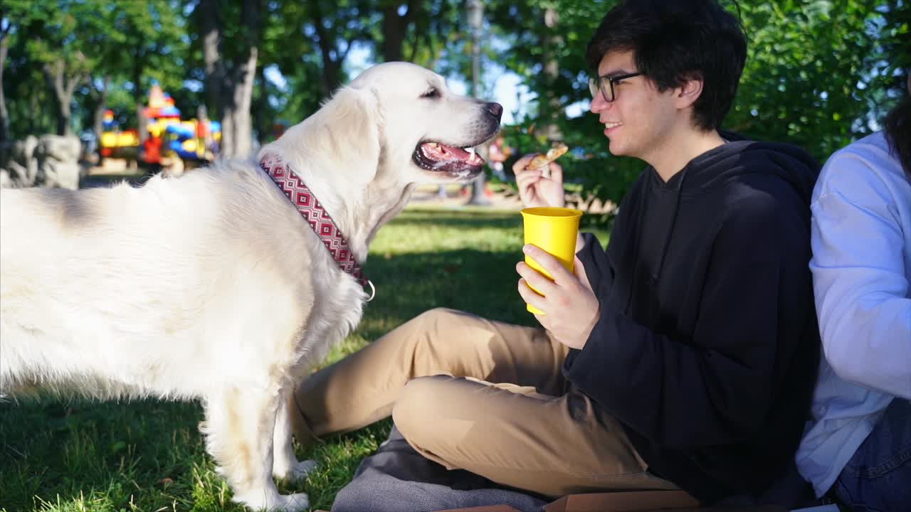 친절 한 골든 리트리버 와 함께 공원 에서 피크닉 을 즐기는 청소년 들