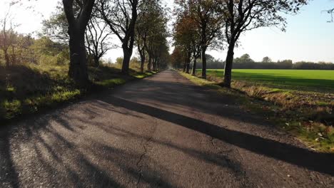 Avenue-in-Odsherred,-Denmark,-with-beautiful-autumn-coloured-trees-and-green-fields-around-narrow-road