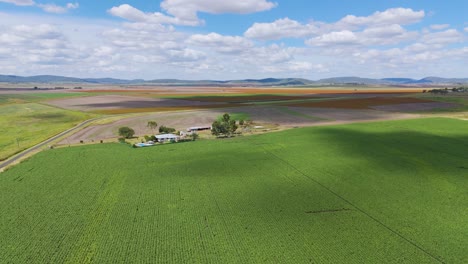 lush green fields with distant houses and sky