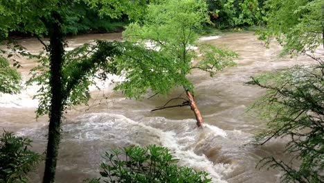 Bäume-Im-North-Toe-River-Während-Seiner-Überschwemmung