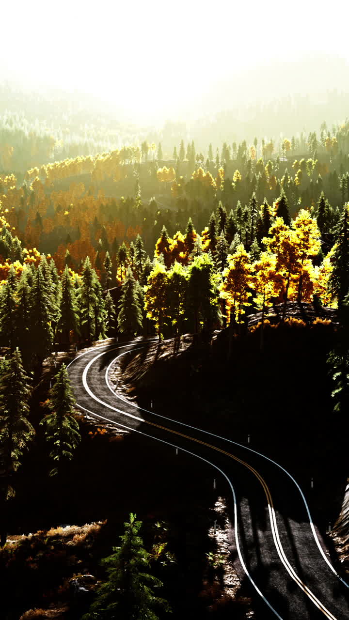 panorámico camino de otoño a través de un bosque sinuoso