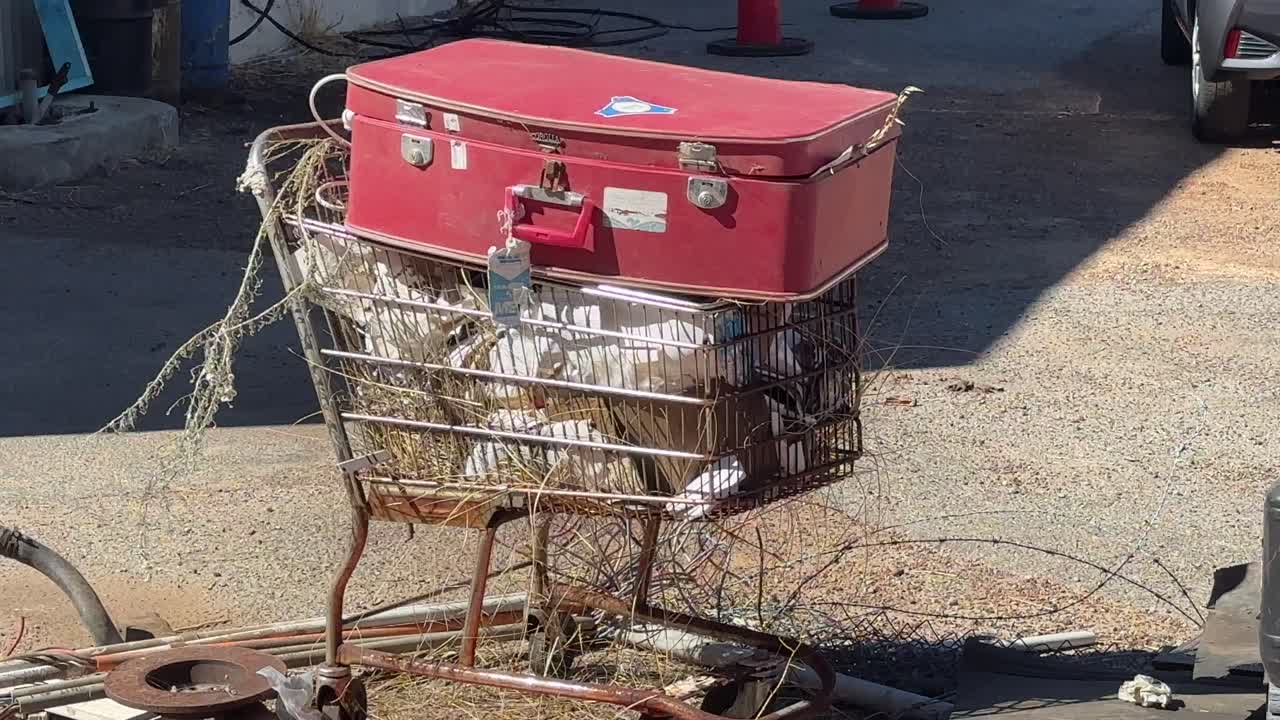 노숙자의 오래된 빨간 가방이 쓰레기로 가득 찬 트롤리 위에