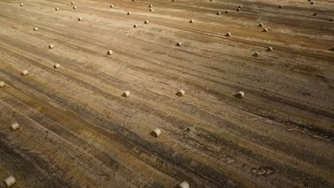 aerial view of hay bales in a field