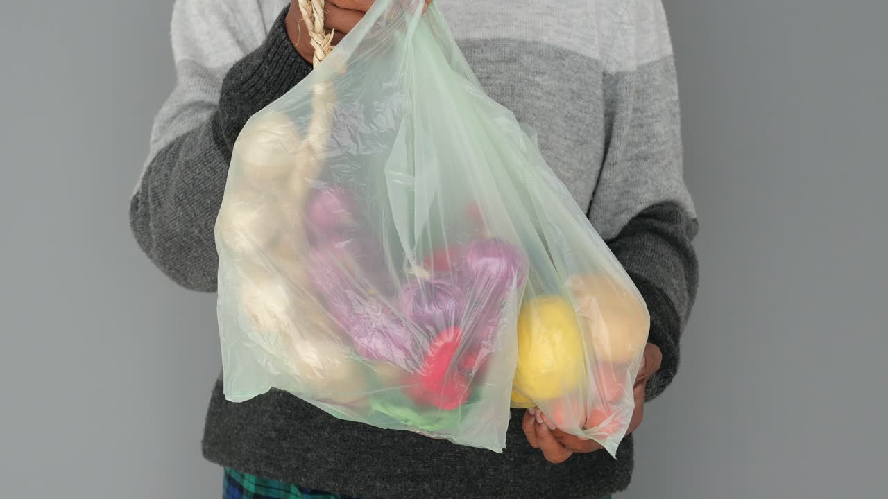 Pessoa Segurando uma Sacola Plástica Cheia de Vegetais e Frutas Frescas