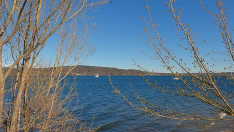 velero entre los árboles en el pacífico lago azul de maggiore en italia
