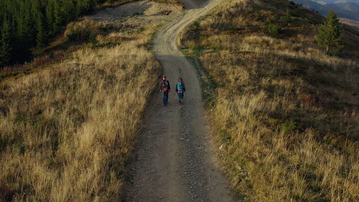 Couple trekking forest road aerial view walking among yellow grass warm day