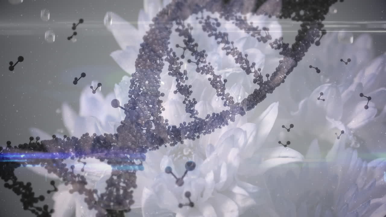 3d 보라색 dna 가닥이 회전하고 분자가 꽃 위에 떠다니는 애니메이션