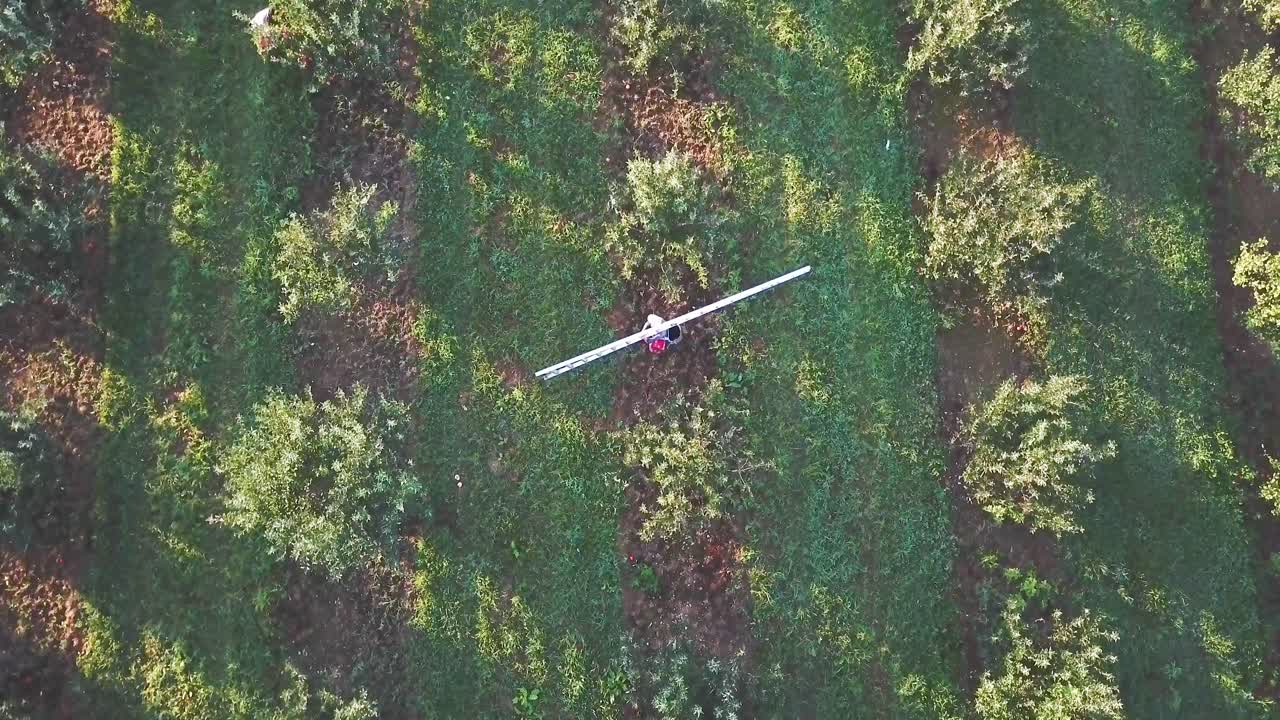 vista aérea del campo agrícola