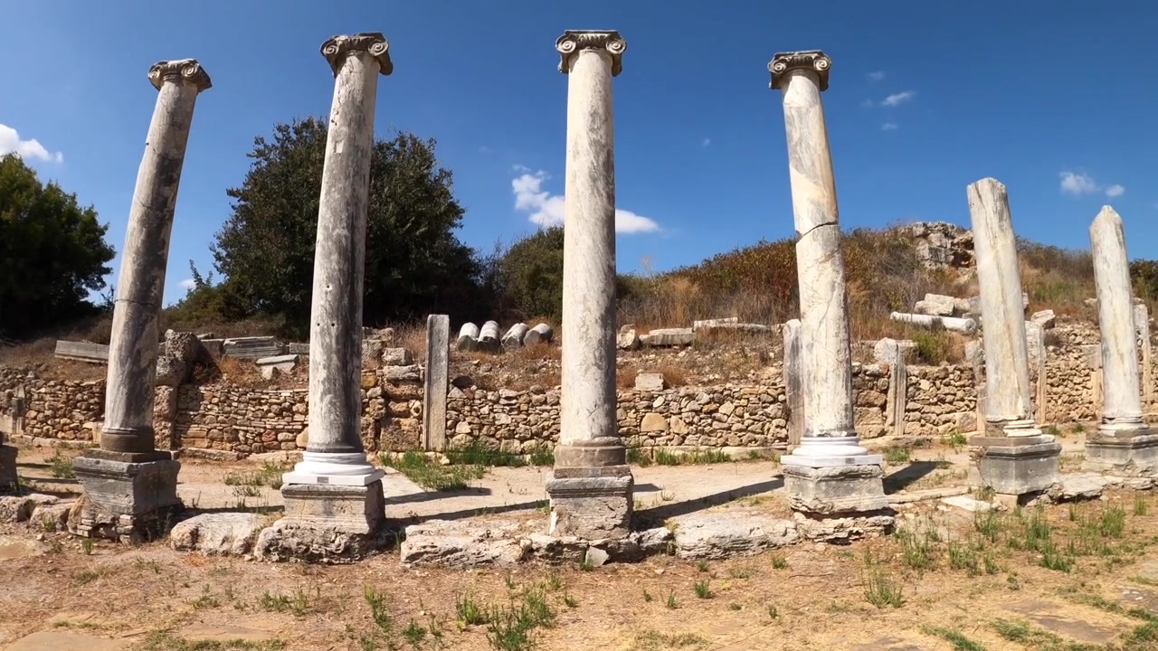 Ancient marble columns at Domus Severiana on Palatine Hill in Rome Italy showing Roman ruins stone walls archaeological remains and historic architecture