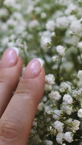 woman with gold ring strokes gentle bouquet of small white gypsophila flowers in floral shop extreme closeup. florist with fresh plants