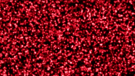 célula roja punto 4k