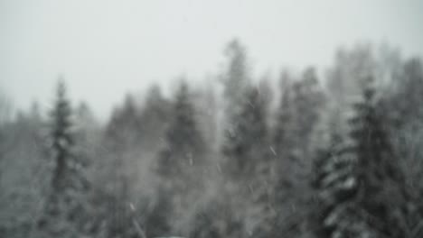 snow falling with blurred background - static