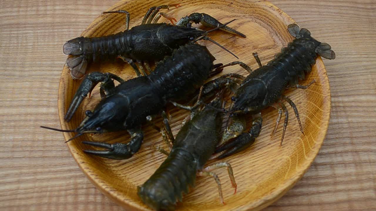 Gamberi vivi su un piatto. Riprese di gamberi vivi