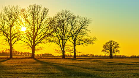 stunning time lapse of beautiful sunset beyond silhouette of deciduous trees