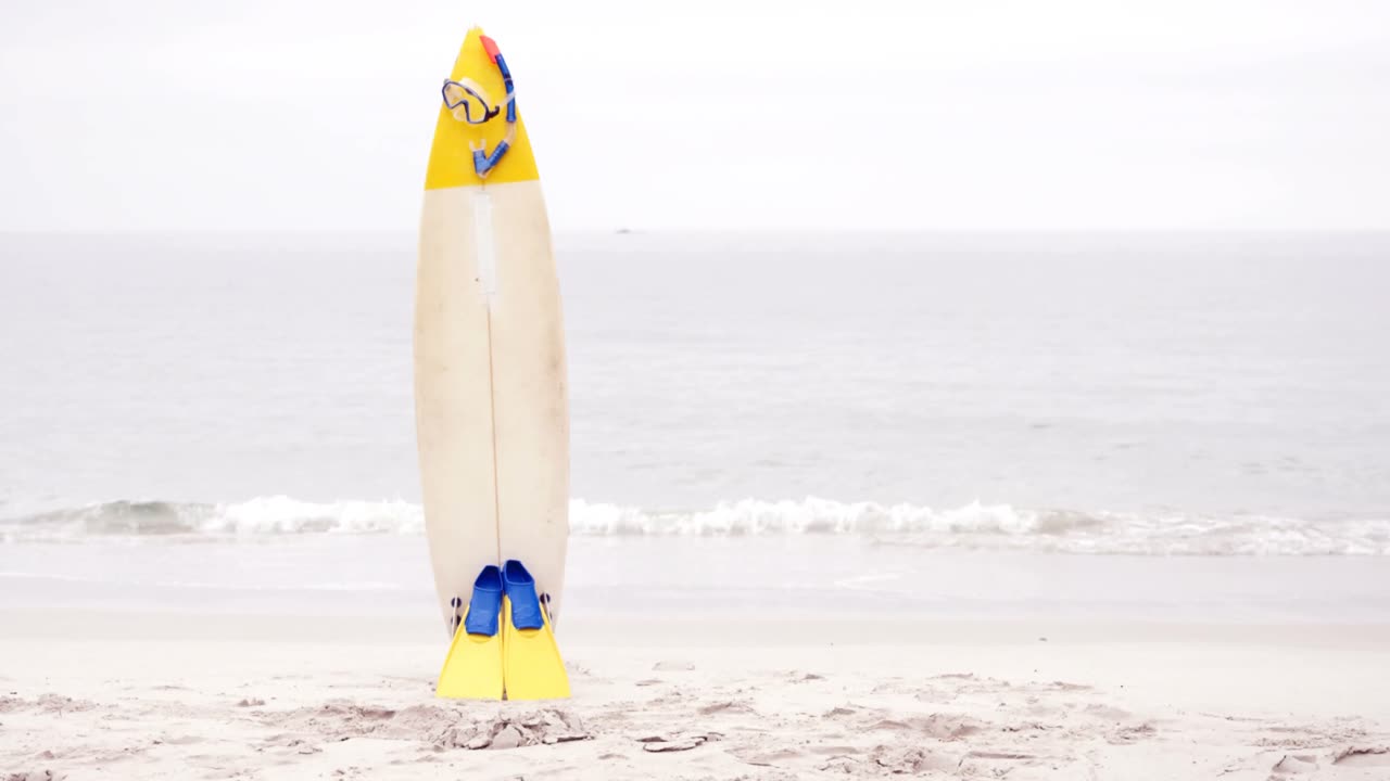 스노클링 장비 와 서프보드 의 전망