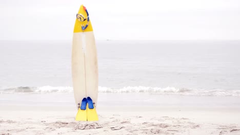 View-of-snorkeling-equipment-and-surfboard