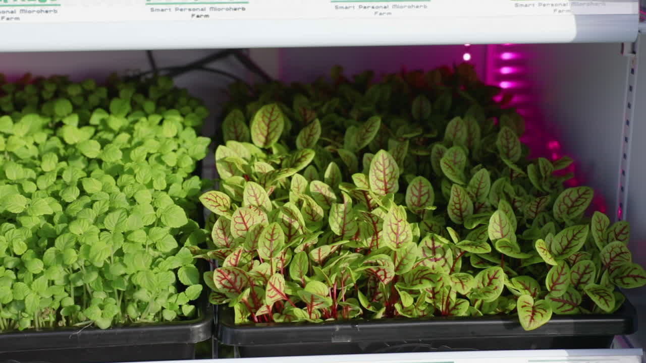 많은 양의 물을 절약하는 현대 농업과 미래 농업