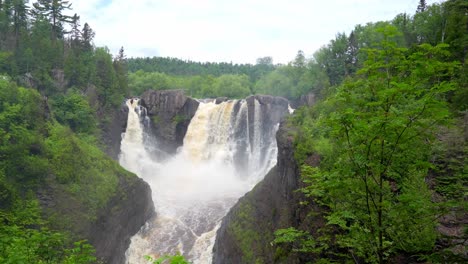 waterfall in the middle of the forest