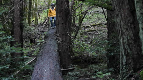 One-man-running-along-a-fallen-tree-in-the-woods