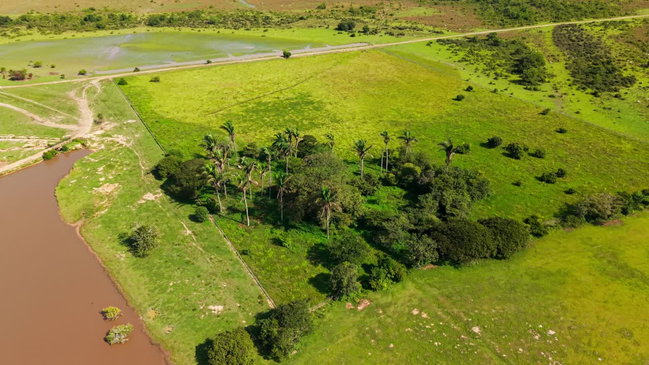 Drone view of the vast green plains and muddy river of the colombian llanos during a safari