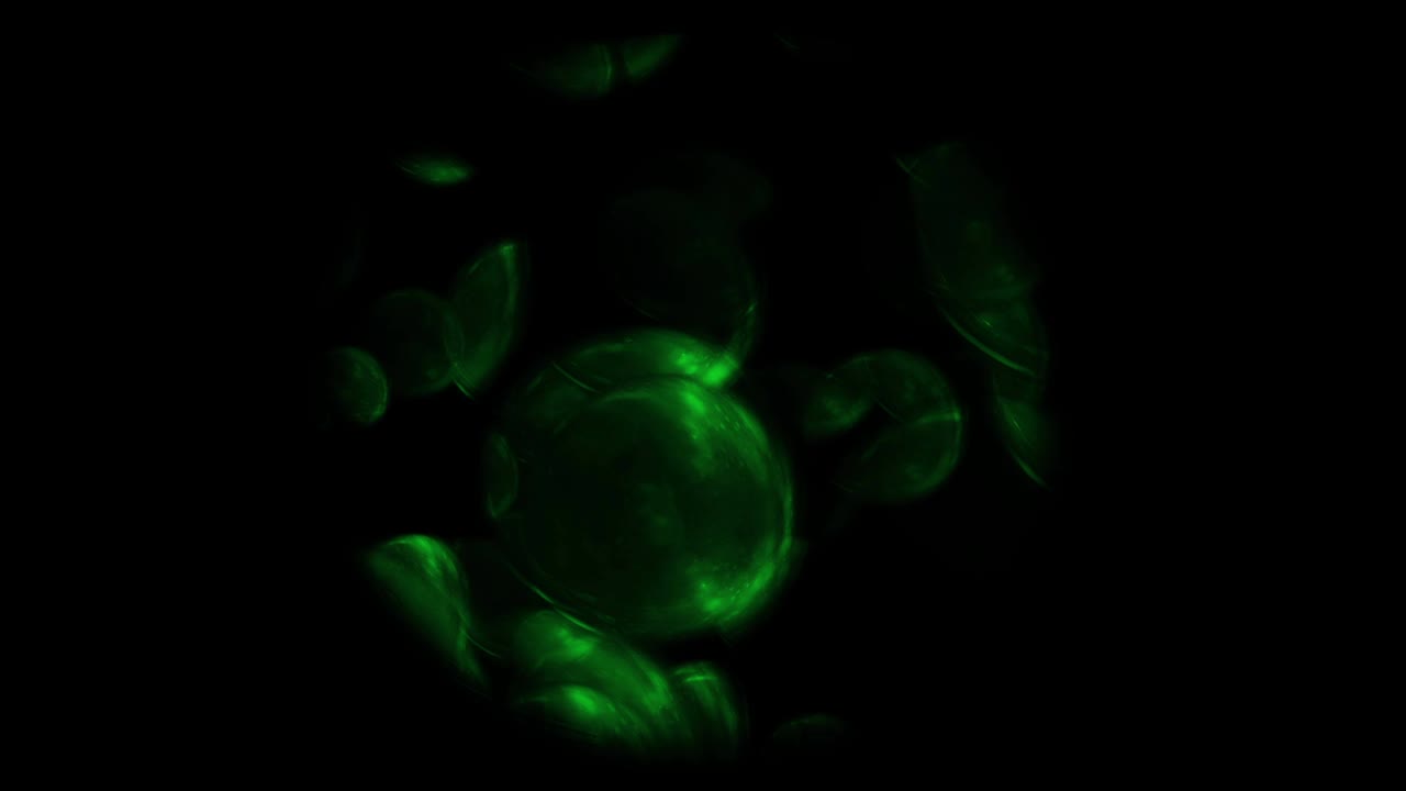 Chemistry Microscope on Green Loop