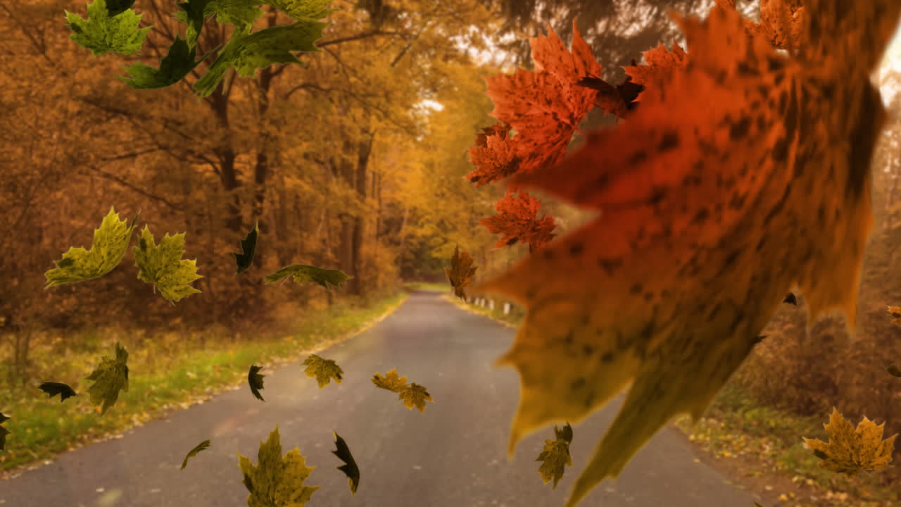 잎이 떨어지는 것