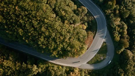 winding road through an autumn forest, motorcycle taking a sharp turn