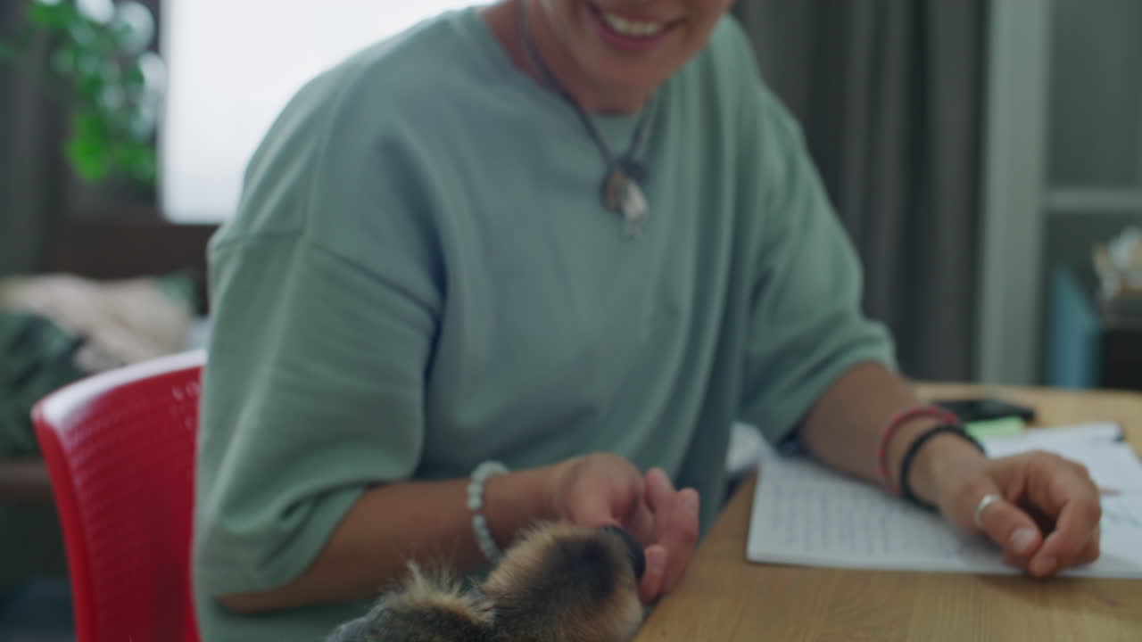 Smiling Woman Giving Treats to Dog while Sitting at Desk in Home Office
