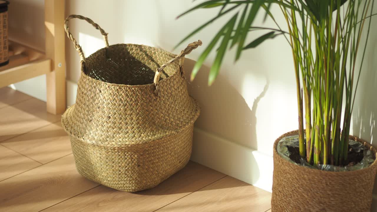 Basket and Plant Decor