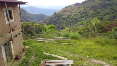 plantación de café en la selva montañosa boliviana