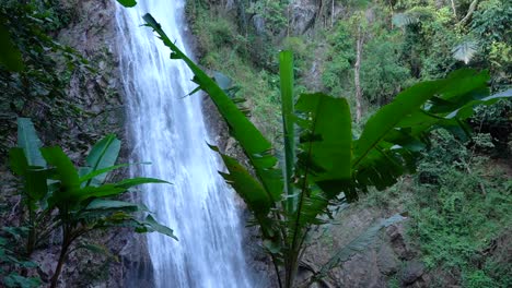 slow motion waterfall with some banana tree leafs shaking in the wind in thailand