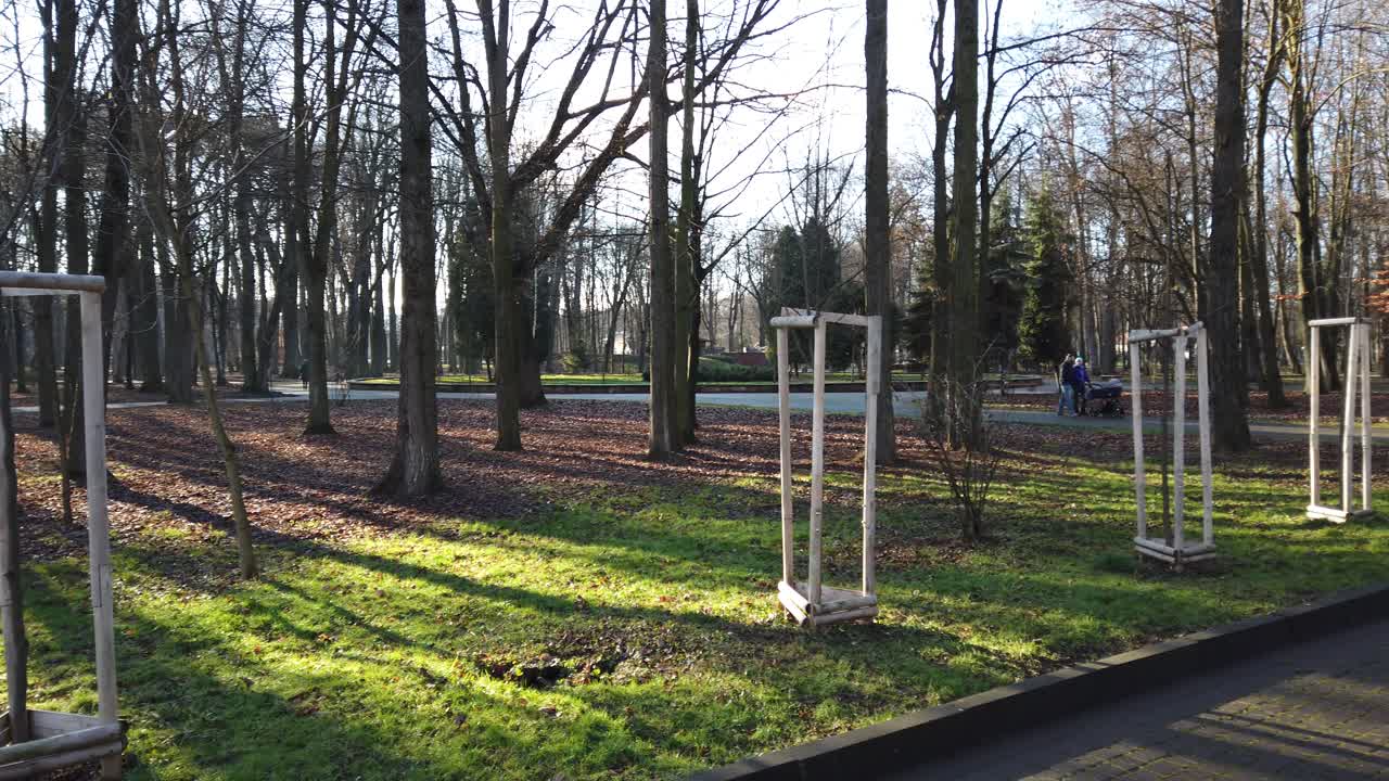 Promenade dans le parc. Séance photo l'après-midi.