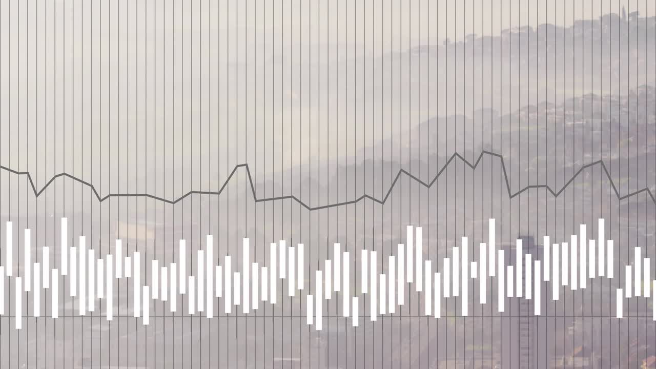 On audio start, visualization bars fluctuating and waveform tracing peaks to show amplitude changes