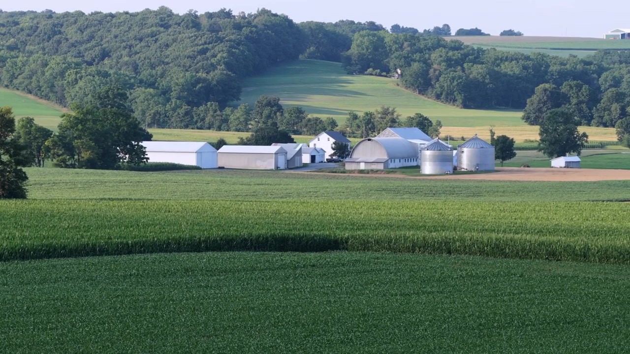 White farm buildings and metal grain silos cluster among rolling green hills, dense green cornfield stretches toward wooded ridgeline in Maxatawny, Pennsylvania, USA. Aerial drone wide shot
