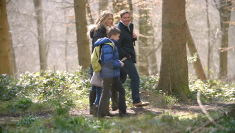 panning shot following family of four walking through forest