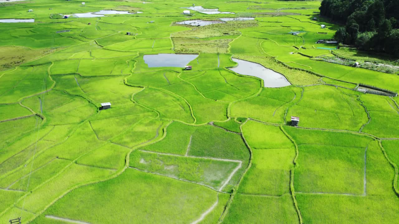 vista aérea de un campo de arroz en arunachal pradesh